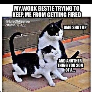 Meet your Posher, Idabel